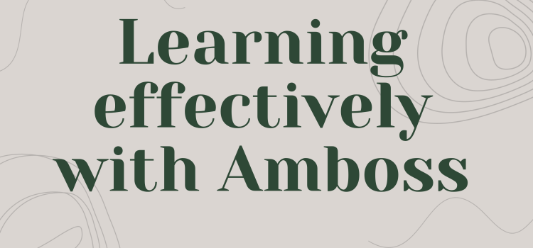 Learning effectively with Amboss
