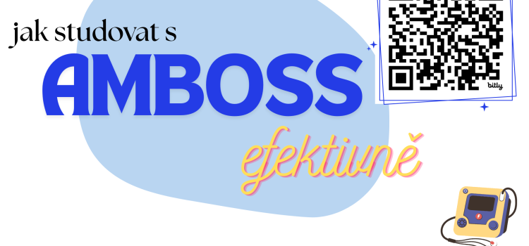 AMBOSS